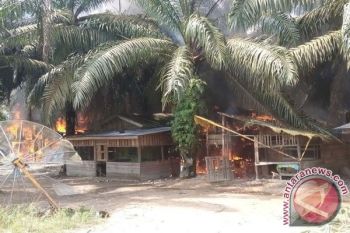 Sepuluh Warung Dibakar Ulah Sengketa Tapal Batas