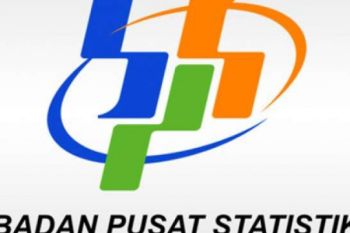 Subyektor Tanaman Pangan Riau Turun 1,52 Persen