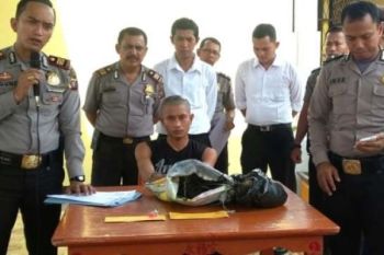Polres Rohil Tangkap Pelaku Pembakaran Lahan