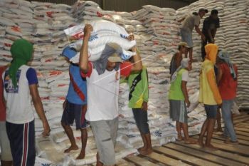 Pengadaan Beras Bulog Banyumas Capai 90 Persen