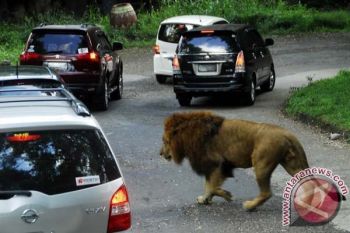 Pembangunan Jateng Park Dinilai Penuhi Studi Kelayakan