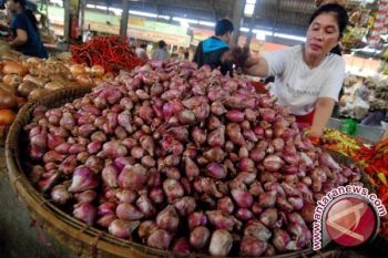 Harga Bawang Merah Berangsur Turun