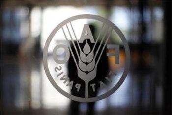 Harga pangan dunia turun karena produksi gandum AS meningkat