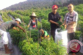 LMB Karimun Ajak Pemuda Garap Lahan Tidur