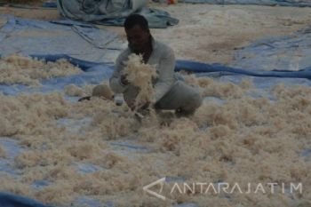 Proses Pengeringan Terkendala Cuaca