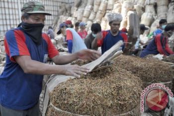 Gudang Garam Lebih Selektif Beli Tembakau Petani Temanggung