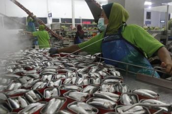 Pemerintah Dorong Pendirian Pabrik Ikan di Natuna