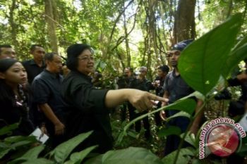 KAWASAN HUTAN ADAT KAJANG