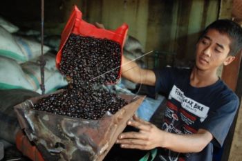 Tingkatkan Devisa, AEKI Gelar Pelatihan Ekspor Kopi