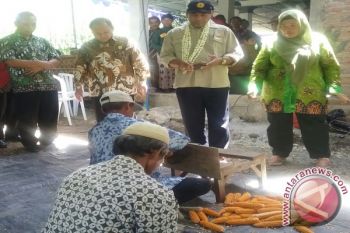 Petani ubah lahan tandus jadi lahan jagung 