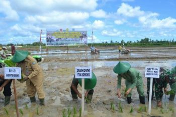 Kodim Sorong gelar aksi tanam padi terpadu