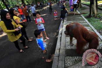 TSTJ Surakarta akan membenahi wahana air terjun menari