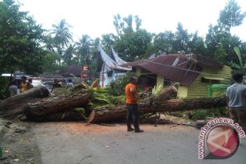 Sembilan orang tewas saat badai Jebi hantam Jepang