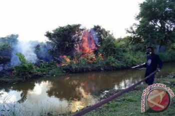 Masyarakat Tetap Siaga Karhutla, Kata Bupati Seruyan