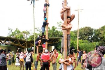 Panjat Pinang Massal Meriahkan HUT Kemerdekaan di Tenggarong
