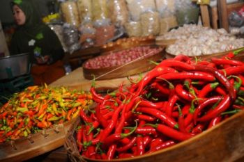 Rusak Terkena Hujan, Harga Cabai Melonjak