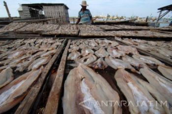 Produksi Ikan Turun