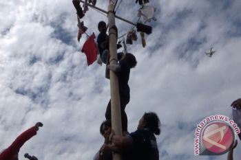 PANJAT PINANG WANITA 