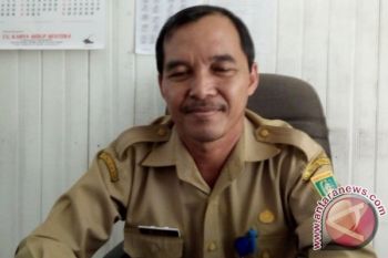 Awas ! Empat Anjing di Barsel Positif Rabies