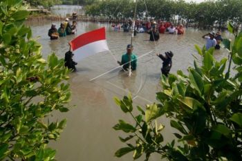 UPACARA DI KAWASAN MANGROVE