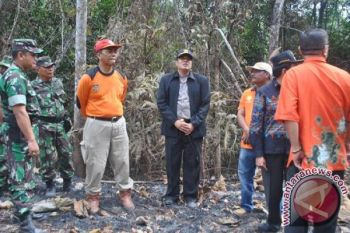 Pelaku Pembakaran Hutan Dengan Sengajak Ditindak