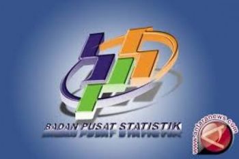BPS Perkirakan Belanja HUT RI Tak Pengaruhi Inflasi