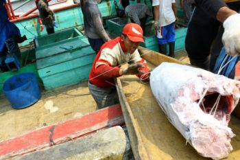 Tempat Pendingin Ikan Senilai Rp2,8 Miliar Dibangun di Pekalongan