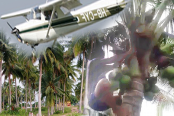 Petani Kelapa Nyaris Ditabrak Pesawat