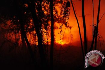 Lahan Gambut Kembali Terbakar