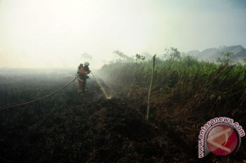 Kebakaran Lahan di Pontianak