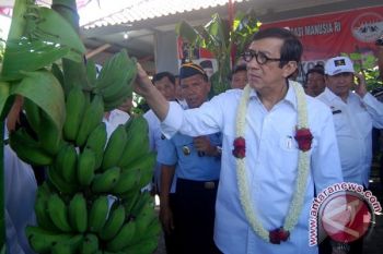 Dua LP Terbuka di Jateng Digelontor Puluhan Miliar Rupiah