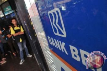 BRI Manado salurkan KUR capai Rp2,3 Triliun