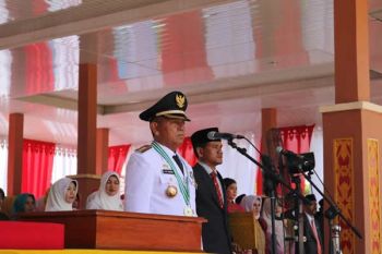 Bupati Pelalawan hargai kontribusi RAPP dalam pembangunan
