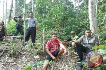 Tim Terpadu Tak Temukan Pembalakan Liar di Sungai Betung