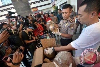 Tiga mahasiswa ditangkap miliki empat Kg ganja