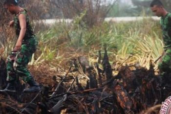 Lakukan Patroli Rutin, TNI Tangkap Tangan Pelaku Pembakar Lahan Kampar