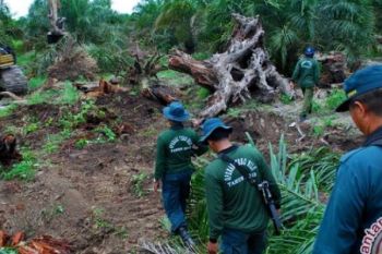 Wow, Ribuan KK Rambah Hutan TNTN Secara Ilegal