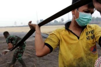Waduh, Titik Panas Sumatera Dari 6 Melonjak Jadi 50 Titik