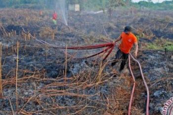 Asap Dampak Karlahut Di Dumai Mulai Membahayakan Masyarakat