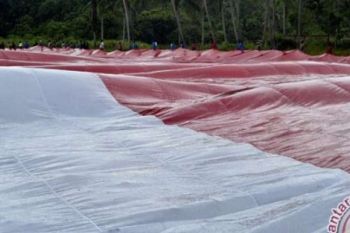 Pengibaran Bendera Terpanjang Di Raja Ampat Pecahkan Rekor Muri