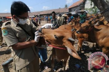 Distan Semarang Terjunkan 56 Petugas Pantau Hewan Kurban