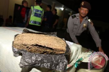 Lolos di Empat Bandara,  Pengiriman Ganja 20 Kg Digagalkan di Grobogan