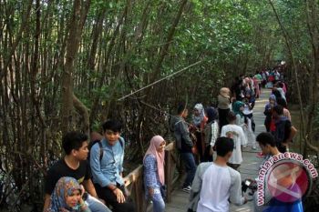 Mahasiswa Jepang teliti hutan bakau Sinjai 