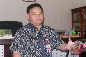 Pemda Minta Perusahaan Sawit Dukung Pembangunan SUTT