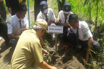 Konservasi Kawasan Sindoro, SMPN 2 Kledung Tanam Ratusan Pohon