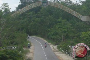 Jalan Muara Teweh-Banjarmasin Siap Dilebarkan