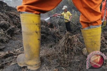 Siaga Darurat Karlahut Diperpanjang, Masih ada 36 Titik Panas di Sumatera
