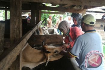 Hewan Kurban di Payakumbuh Didatangkan dari Luar Daerah