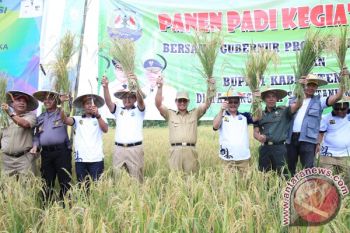 Irianto : Targetkan Produksi Padi Meningkat