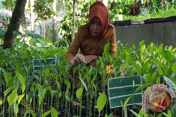 482 PNS Kehutanan Kabupaten Ditarik ke Pemprov NTB